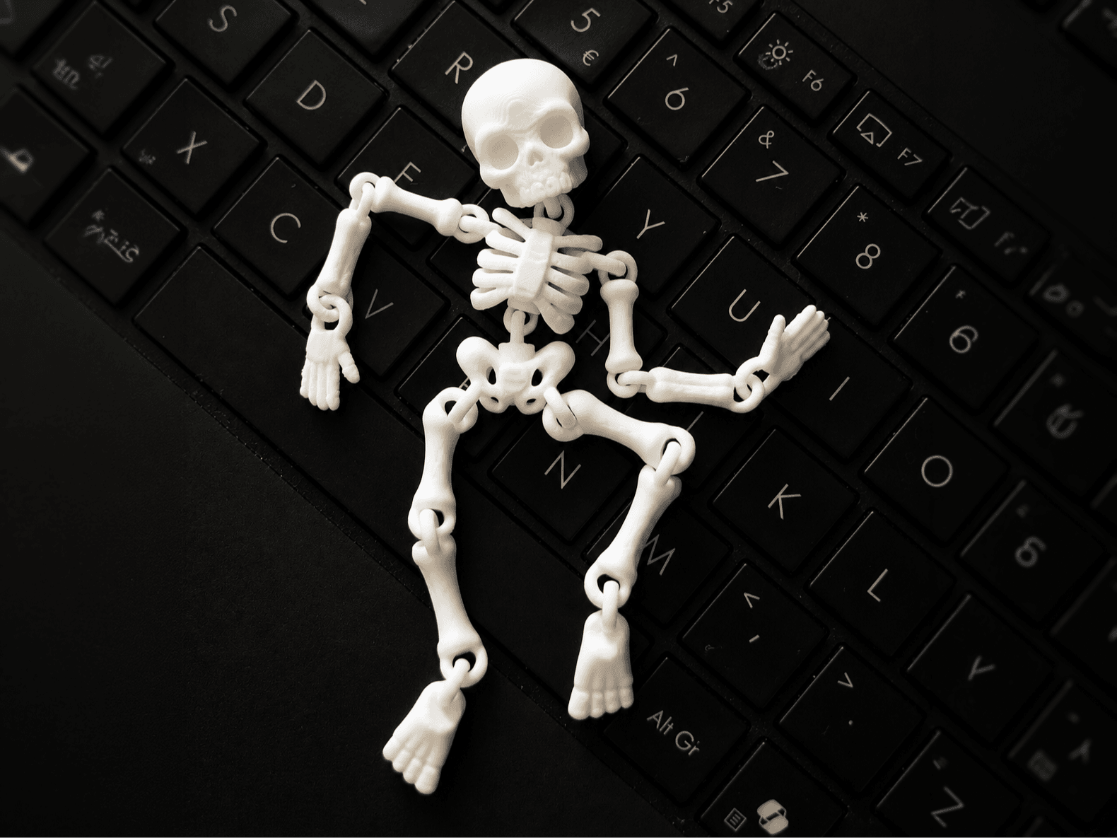Flexi skeleton. Fast and easy print, a 3D model by gobotoru